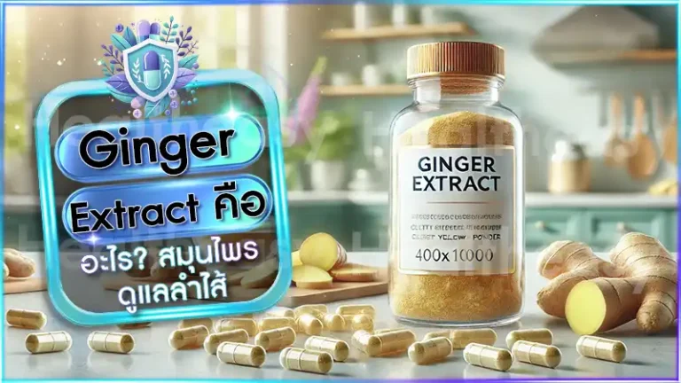 Ginger Extract คือ