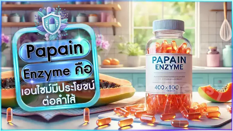 Papain Enzyme คือ