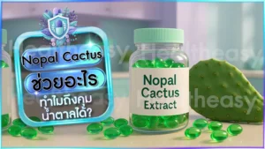 Nopal Cactus ช่วยอะไร