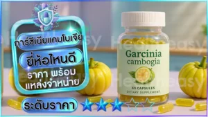 การ์ซีเนียแคมโบเจีย ยี่ห้อไหนดี