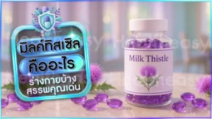 มิลค์ทิสเซิล คืออะไร