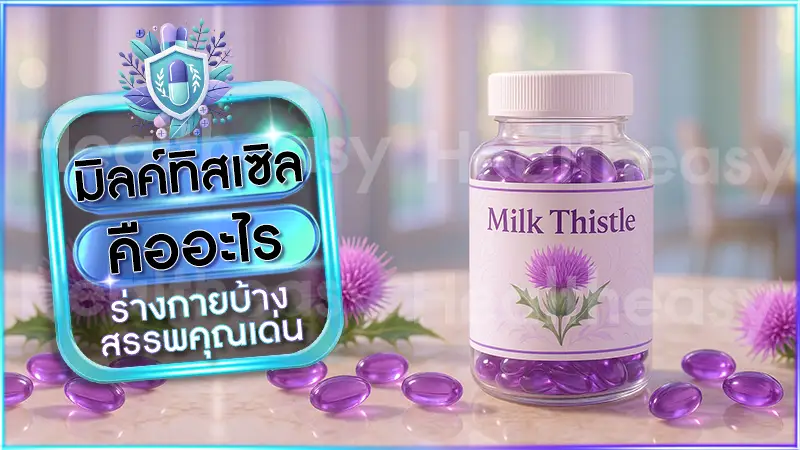 มิลค์ทิสเซิล คืออะไร