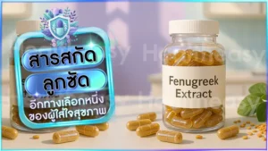 สารสกัด ลูกซัด