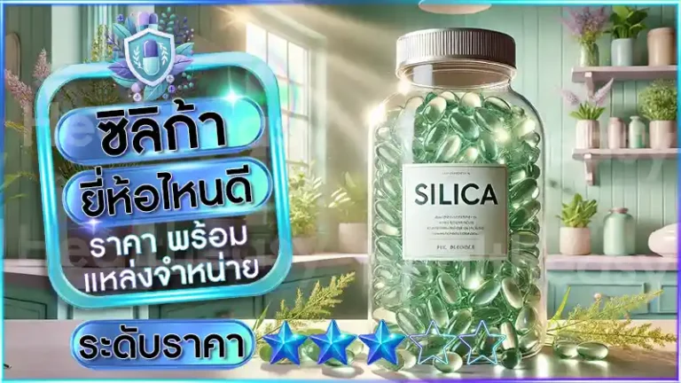 ซิลิก้า ยี่ห้อไหนดี