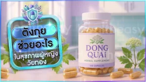 ตังกุย ช่วยอะไร