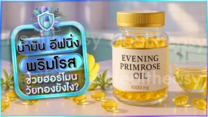 น้ำมัน อีฟนิ่งพริมโรส