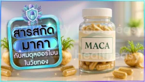 สารสกัด มาคา