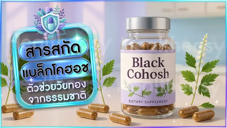 สารสกัด แบล็กโคฮอช