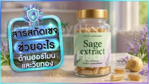สารสกัดเซจ ช่วยอะไร