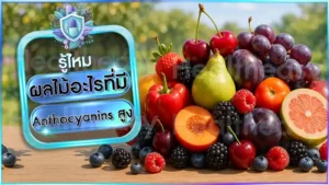 ผลไม้อะไรที่มี Anthocyanins สูง