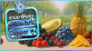 ผลไม้อะไรที่มี Copper สูง