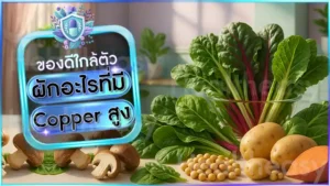 ผักอะไรที่มี Copper สูง