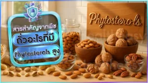 ถั่วอะไรที่มี Phytosterols สูง