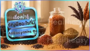 ธัญพืชอะไรที่มี Anthocyanins สูง