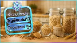 ธัญพืชอะไรที่มี Oryzanol สูง