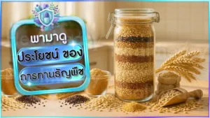 ประโยชน์ ของการทานธัญพืช