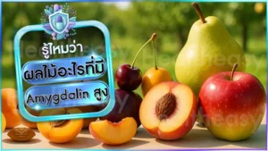 ผลไม้อะไรที่มี Amygdalin สูง