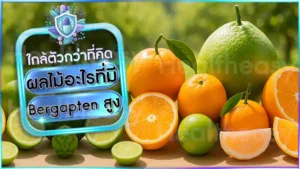 ผลไม้อะไรที่มี Bergapten สูง