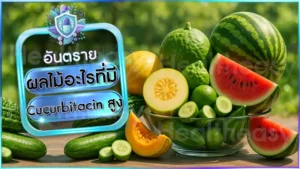ผลไม้อะไรที่มี Cucurbitacin สูง