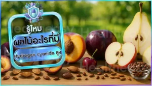 ผลไม้อะไรที่มี Hydrogen cyanide สูง