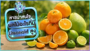 ผลไม้อะไรที่มี Limonoid สูง