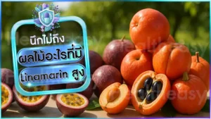 ผลไม้อะไรที่มี Linamarin สูง