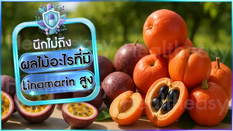 ผลไม้อะไรที่มี Linamarin สูง