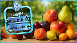 ผลไม้อะไรที่มี Lotaustralin สูง