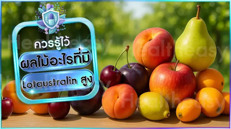 ผลไม้อะไรที่มี Lotaustralin สูง