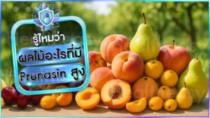 ผลไม้อะไรที่มี Prunasin สูง