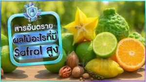 ผลไม้อะไรที่มี Safrole สูง