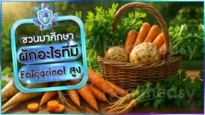 ผักอะไรที่มี Falcarinol สูง