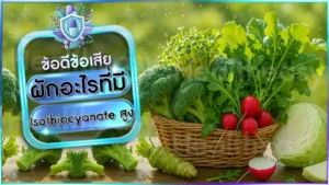 ผักอะไรที่มี Isothiocyanate สูง