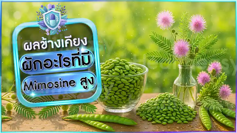 ผักอะไรที่มี Mimosine สูง