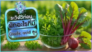 ผักอะไรที่มี Oxalic acid สูง