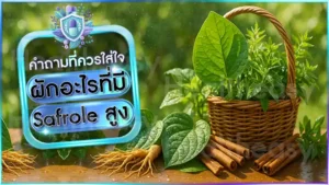 ผักอะไรที่มี Safrole สูง