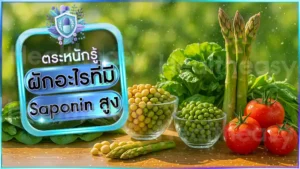 ผักอะไรที่มี Saponin สูง