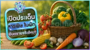 สารพิษ ในผัก