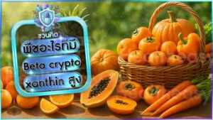 พืชอะไรที่มี Beta cryptoxanthin สูง