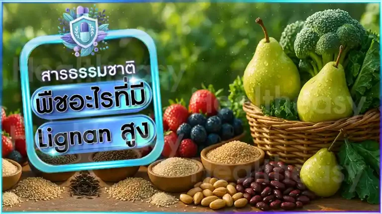พืชอะไรที่มี Lignan สูง