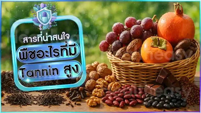 พืชอะไรที่มี Tannin สูง